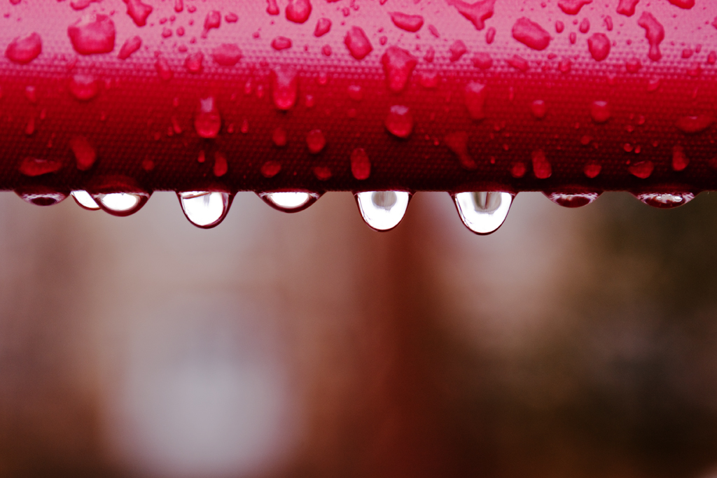 Drops From Red Banner