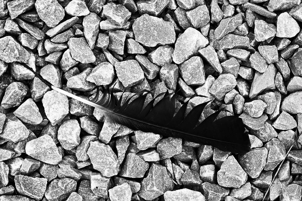 Stone Feather