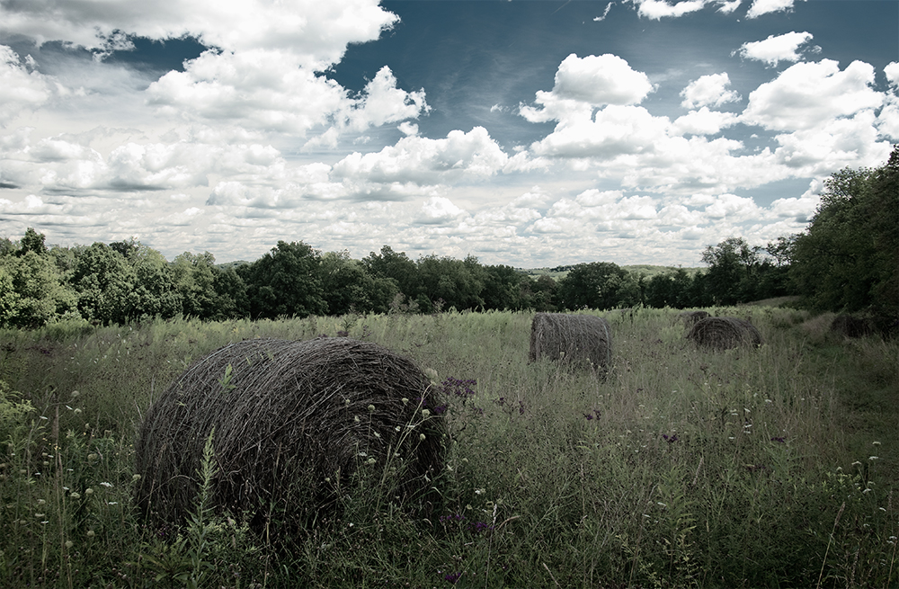 Hay Bales