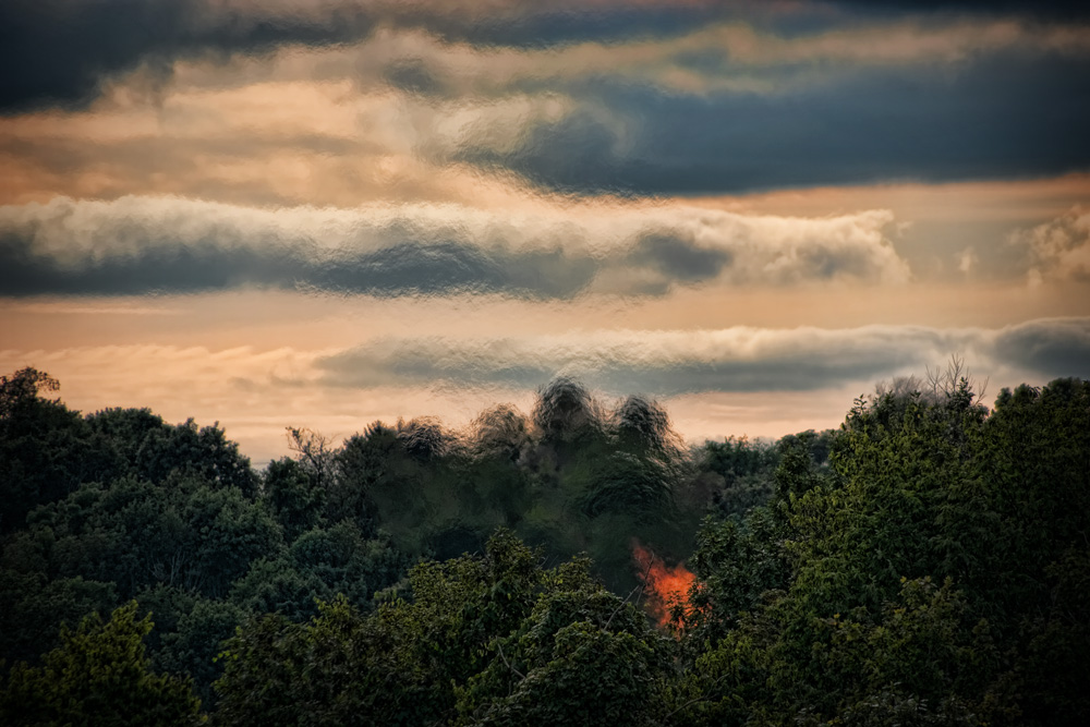 Fire on the Mountain