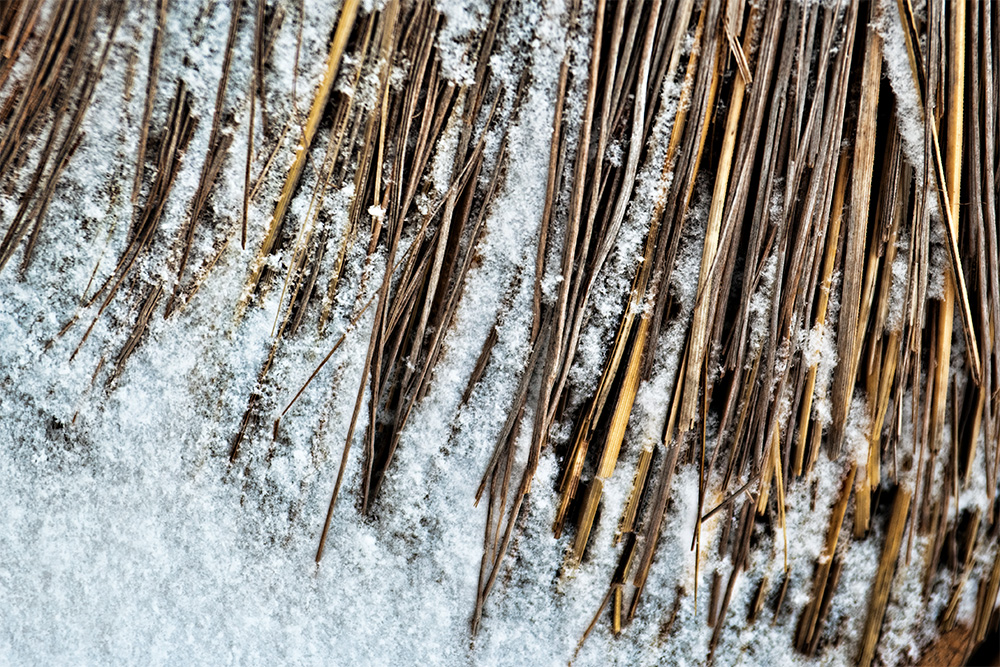 Straw and Snow