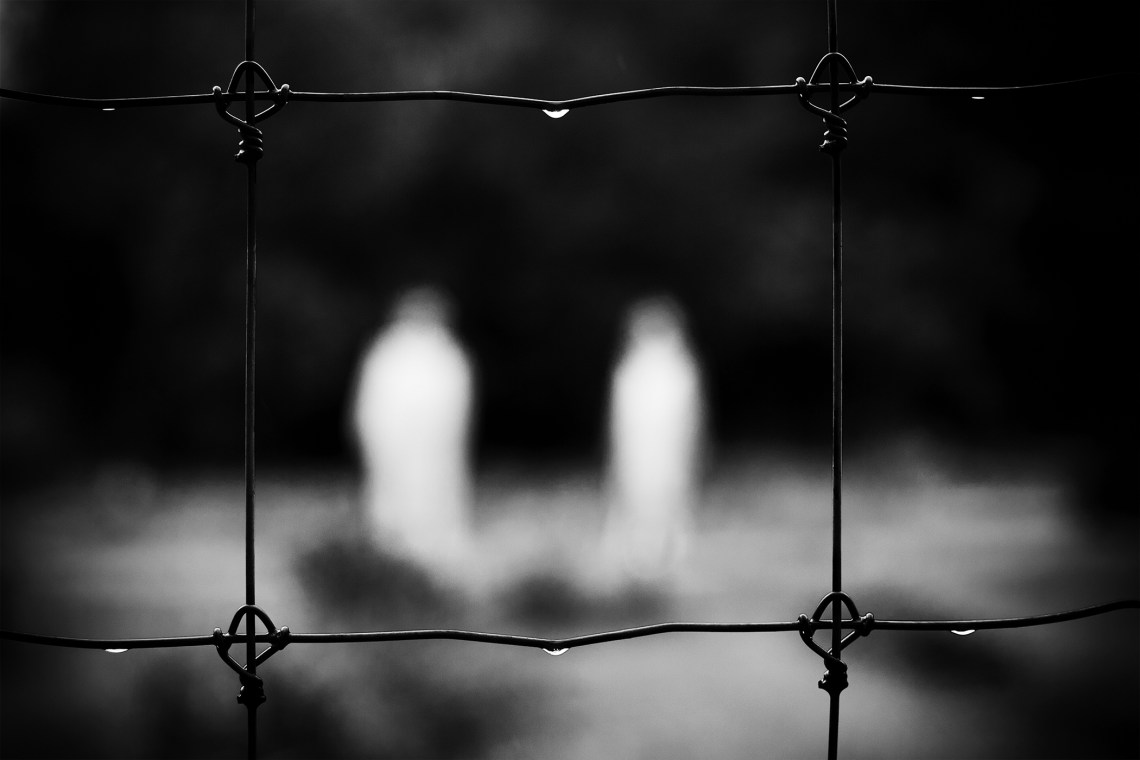 Caged, Pennsylvania, 2011