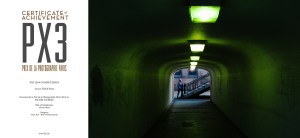 Green Way Bronxe PX3