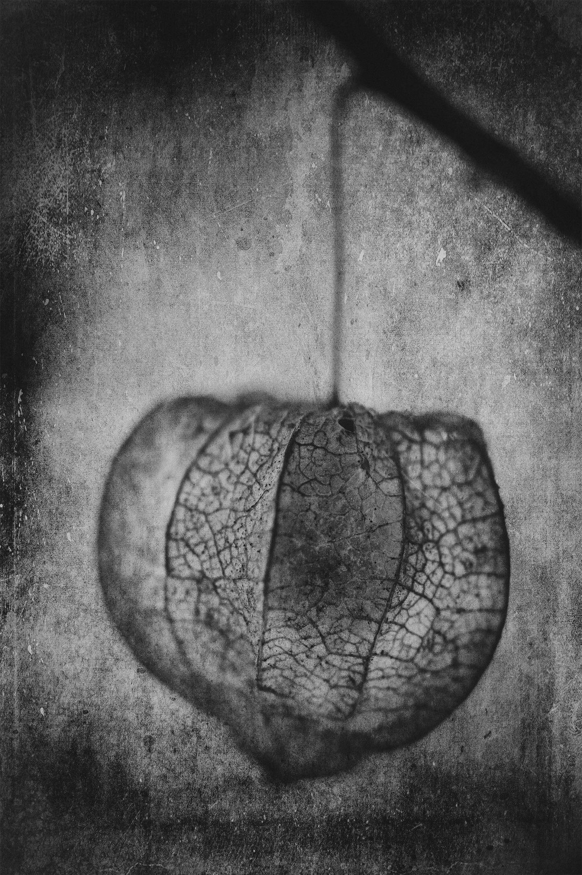 Hanging Pod, Waynesburg, PA, 2014