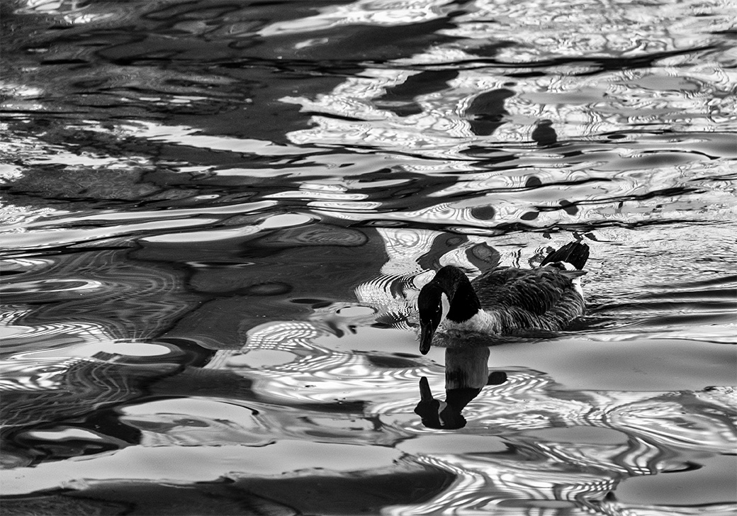 Down by the River_sm